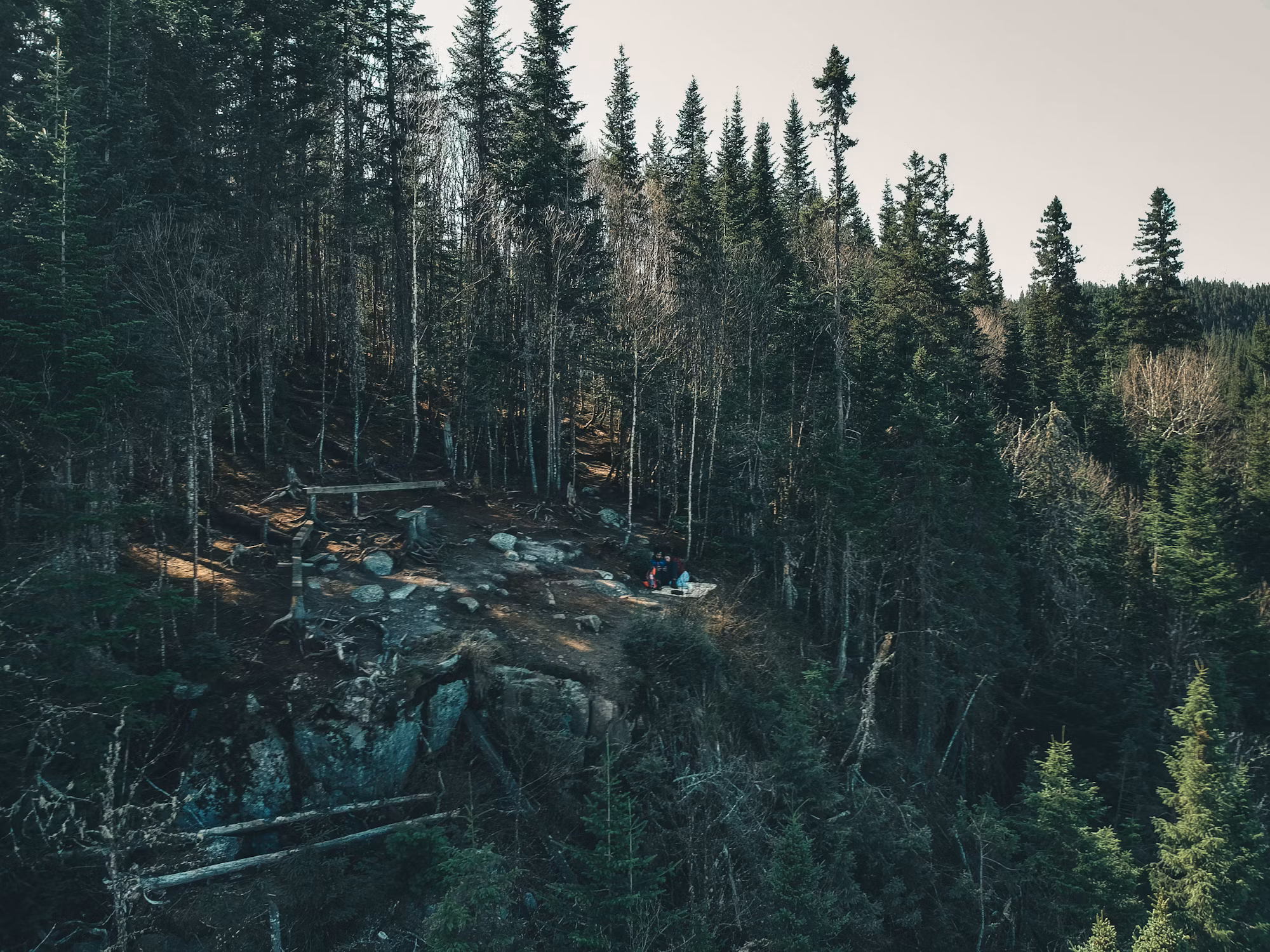 Exploring the Joys of Solo Camping: A Path to Self-Discovery